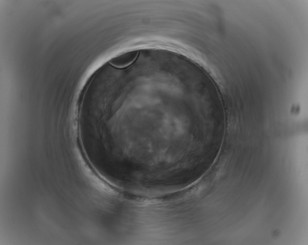 X0000094791522200711161421