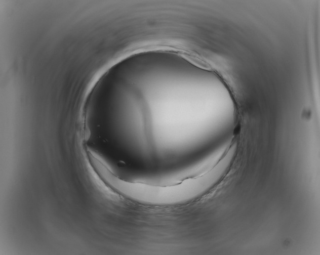 X0000094791524200711161421
