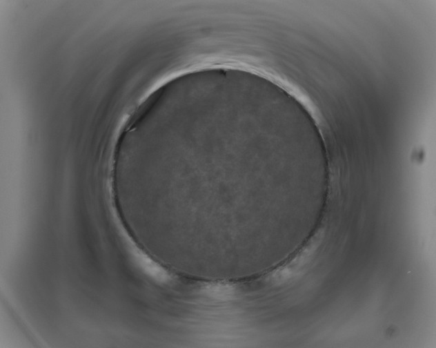 X0000094791525200711161421