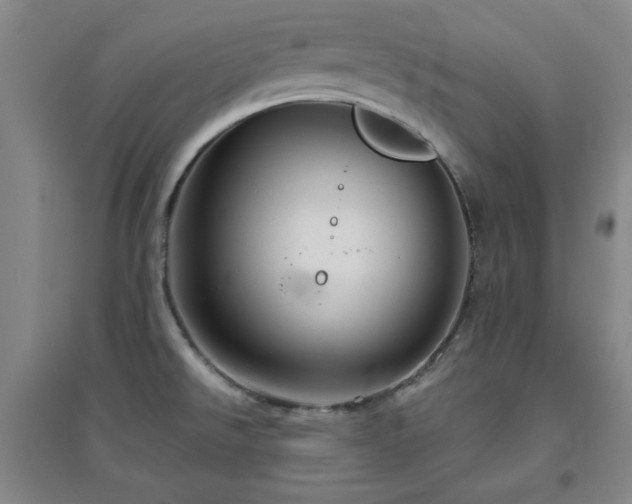 X0000094791526200711161421