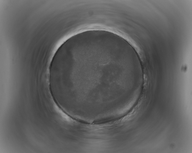 X0000094791527200711161421