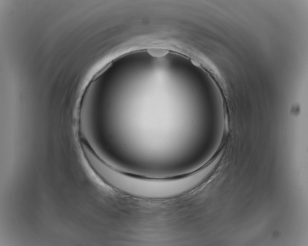 X0000094791528200711161421