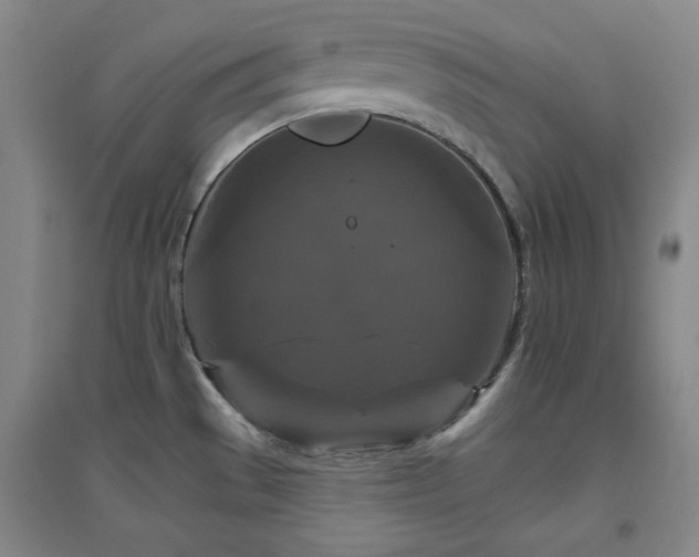 X0000094791529200711161422