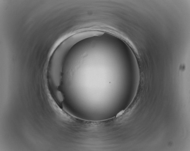 X0000094791530200711161422