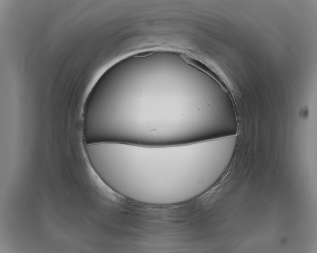 X0000094791532200711161422