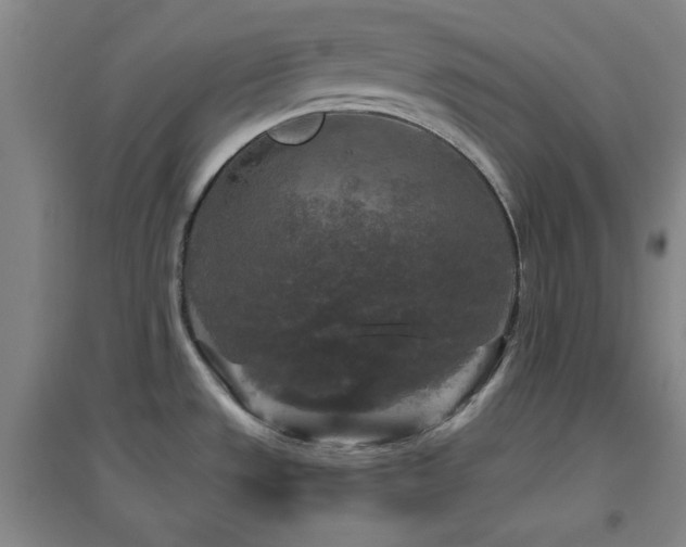 X0000094791533200711161422
