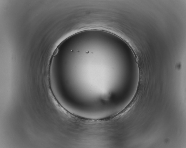 X0000094791534200711161422