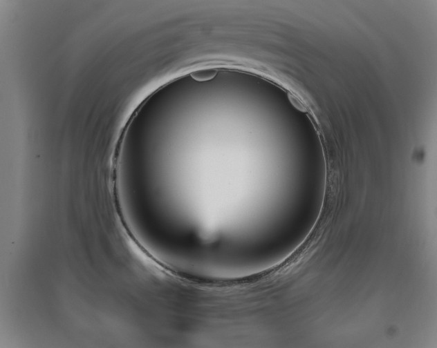 X0000094791535200711161422
