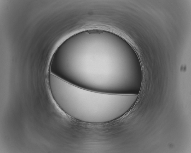 X0000094791536200711161422