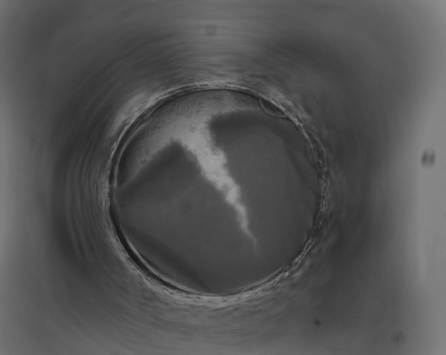 X0000094790002200711241412