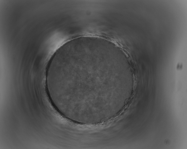 X0000094790005200711241412