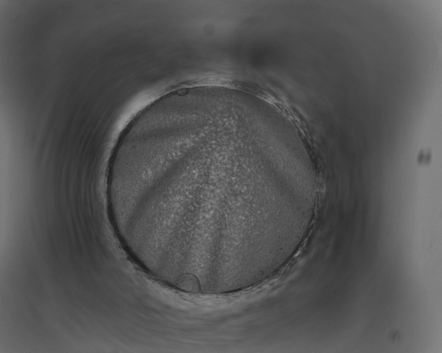 X0000094790006200711241412