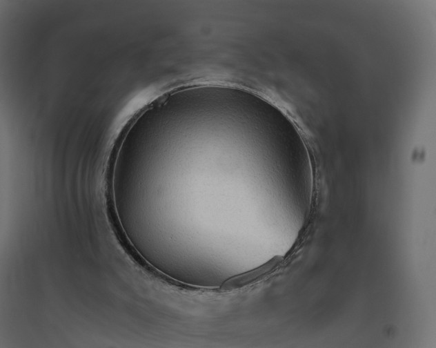 X0000094790007200711241412