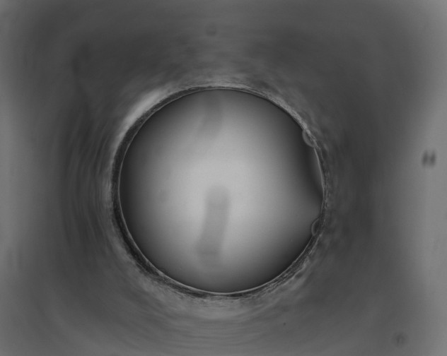 X0000094790008200711241412