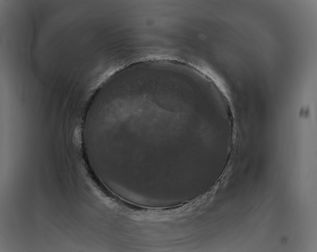 X0000094790009200711241412