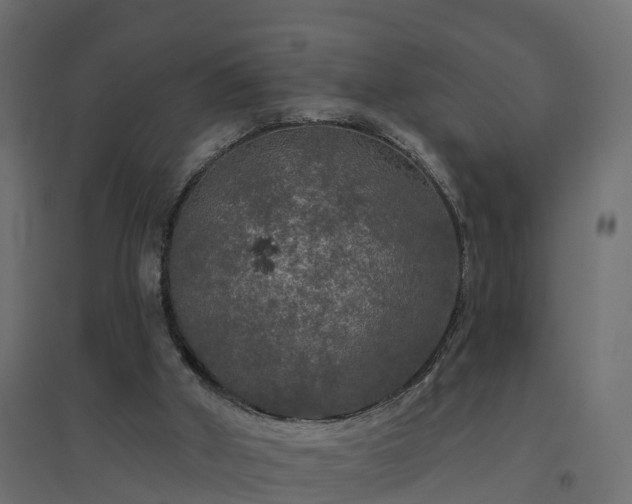 X0000094790010200711241412