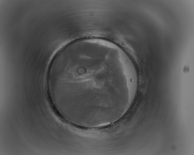 X0000094790012200711241412