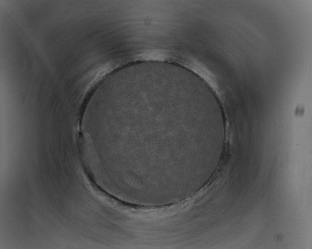 X0000094790013200711241412