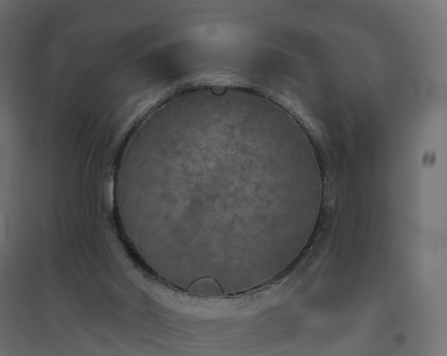 X0000094790014200711241412