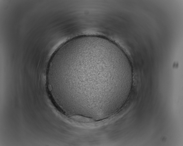 X0000094790015200711241412