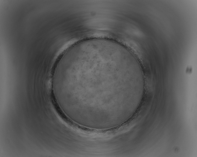 X0000094790016200711241412