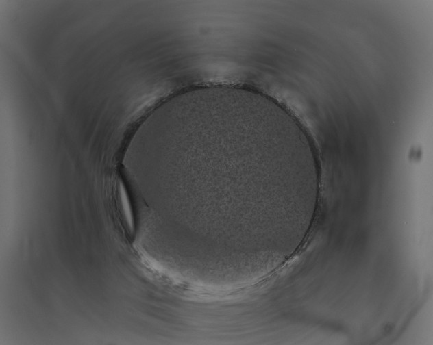 X0000094790017200711241411