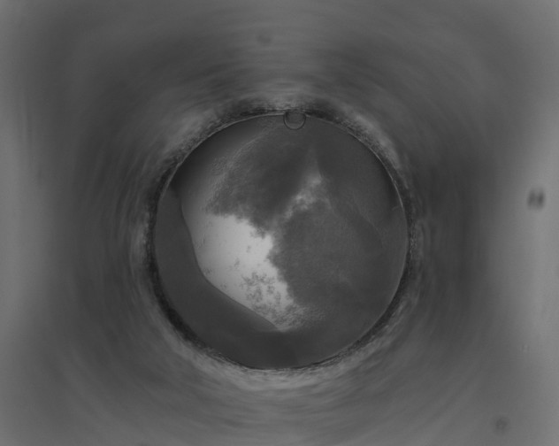 X0000094790018200711241411