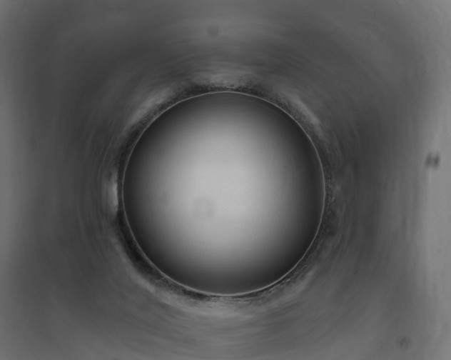 X0000094790020200711241411