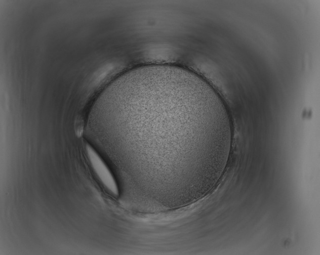 X0000094790021200711241411