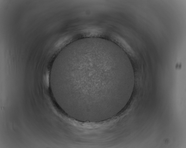 X0000094790022200711241411