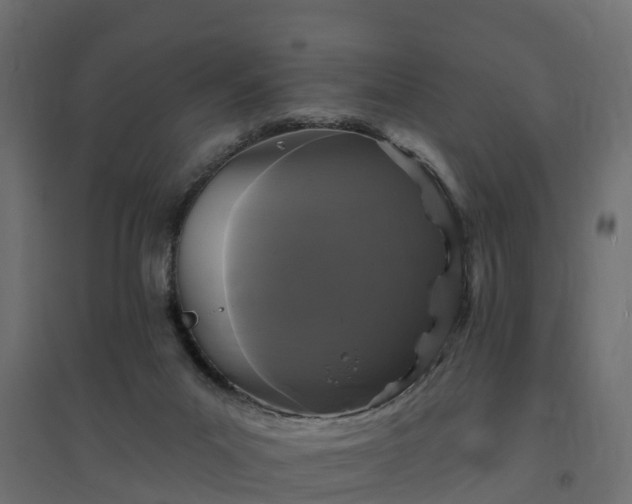 X0000094790023200711241411