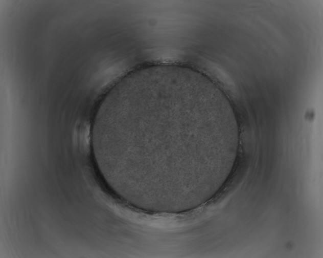 X0000094790024200711241411