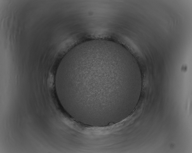 X0000094790025200711241411