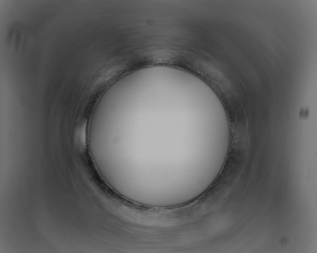 X0000094790028200711241411