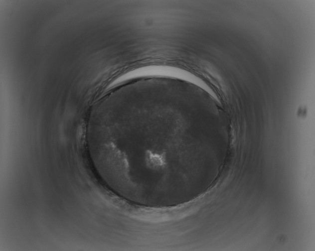 X0000094790029200711241411