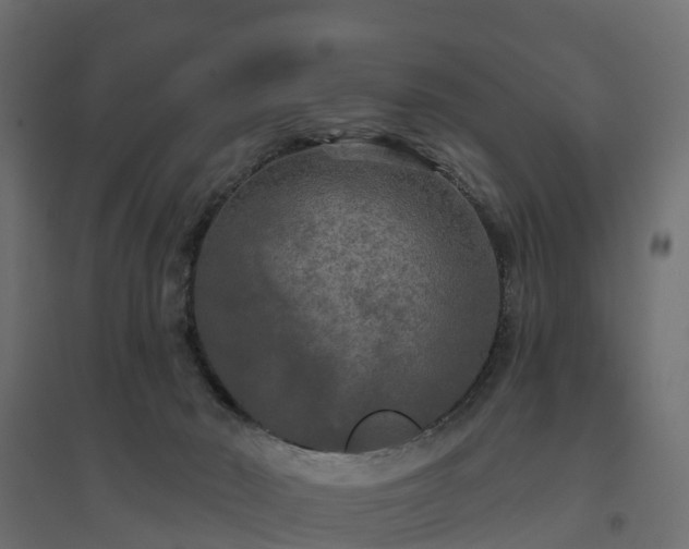 X0000094790030200711241411