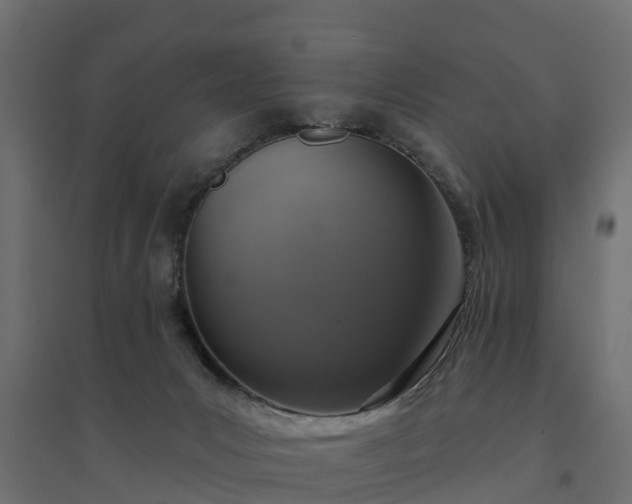 X0000094790031200711241411