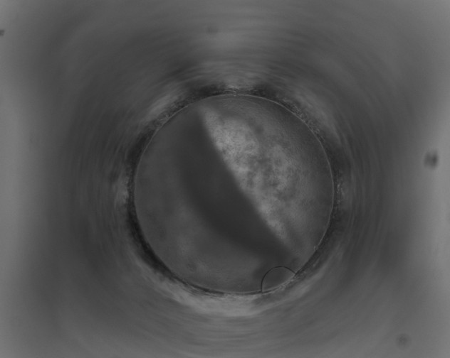 X0000094790032200711241411