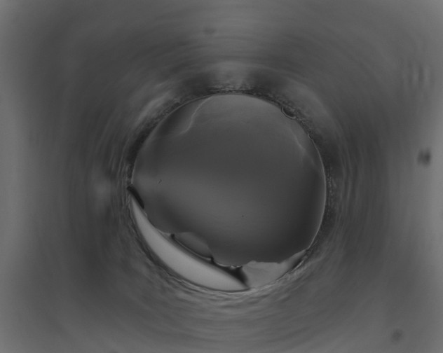 X0000094790035200711241411