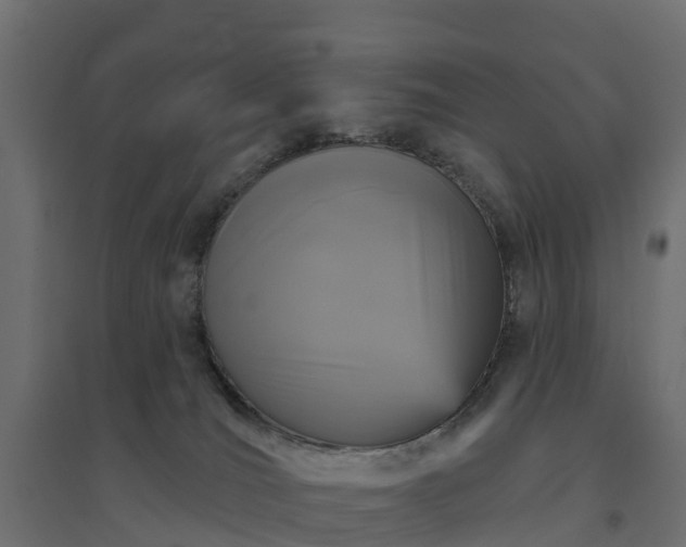 X0000094790036200711241411