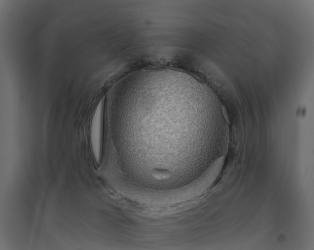 X0000094790037200711241411