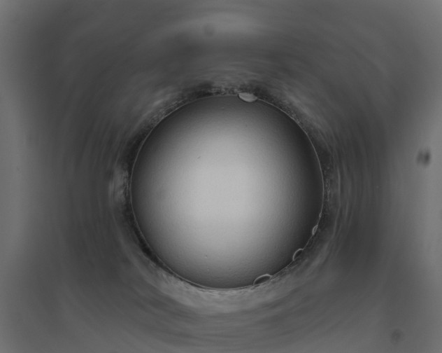 X0000094790038200711241411