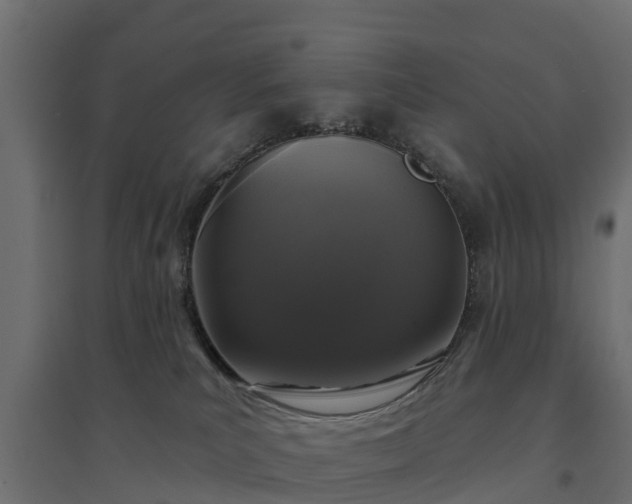 X0000094790039200711241411