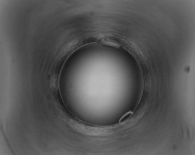 X0000094790044200711241411