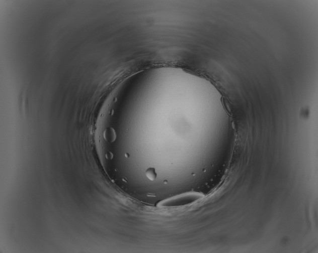 X0000094790045200711241411