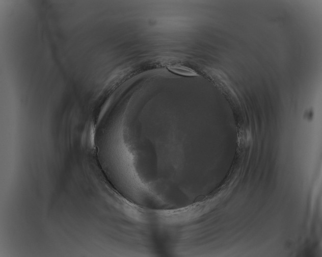 X0000094790046200711241411