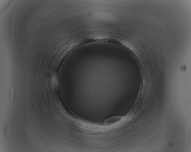 X0000094790048200711241411