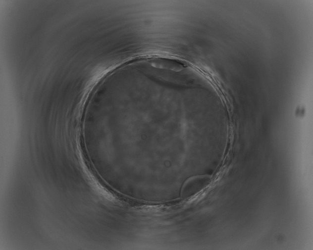 X0000094790049200711241410