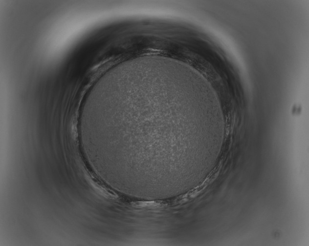 X0000094790050200711241410