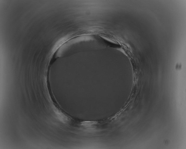 X0000094790051200711241410